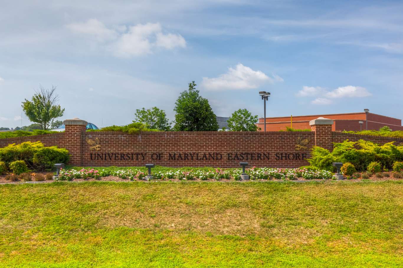 Umes Online Degrees - MeaningKosh