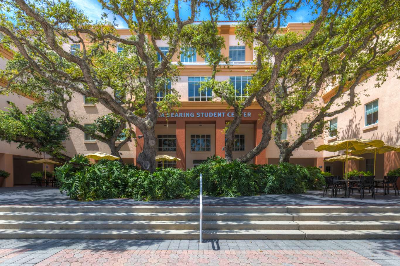 Experience Ringling College in Virtual Reality.